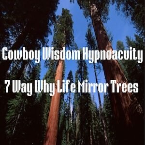 7 Ways Why Life Mirrors Trees