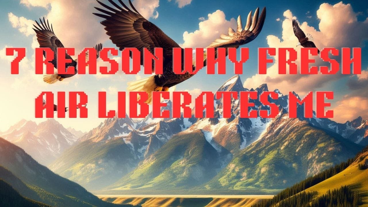 7 Reasons Why Fresh Air Liberates Me
