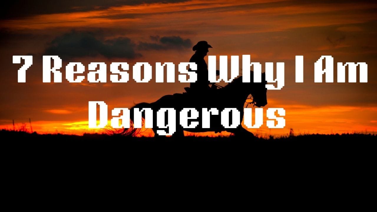7 Reasons Why I Am Dangerous