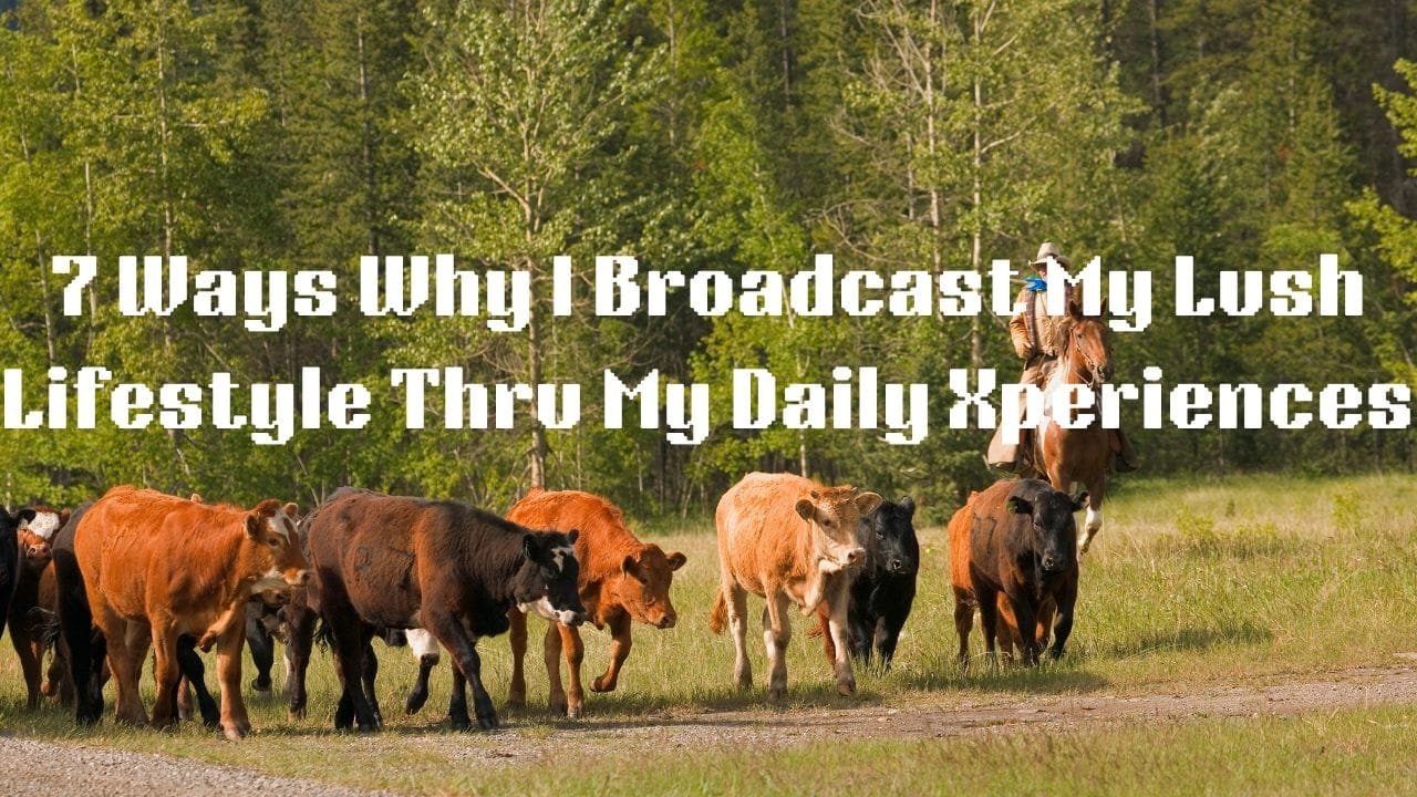 7 Ways Why I Broadcast My Lush Lifestyle Thru My Daily Life Xperiences