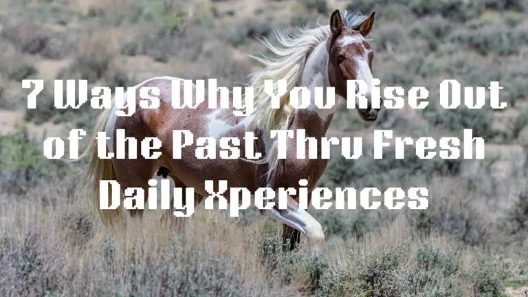7 Ways Why You Rise Out of the Past Through Fresh Daily Experiences