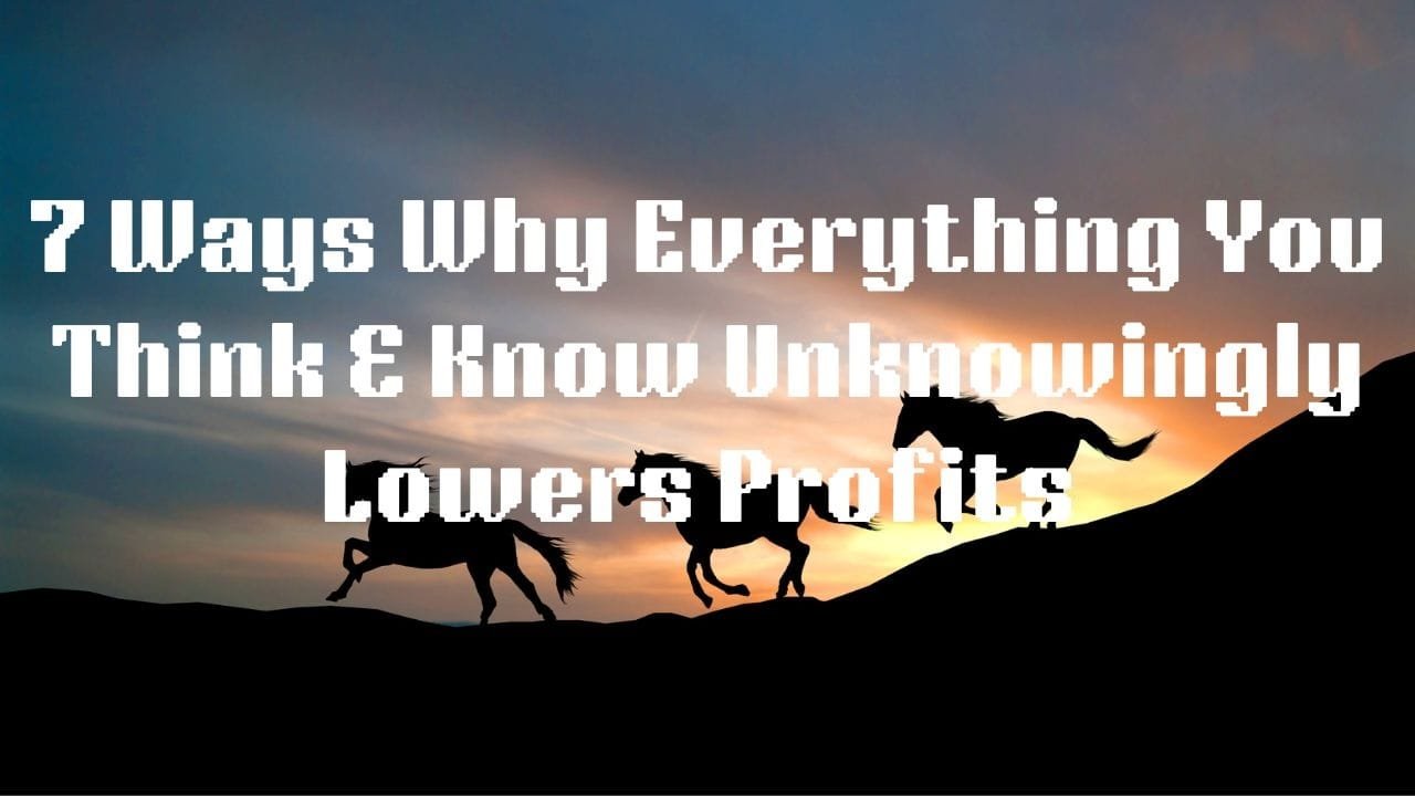 7 WAYS WHY EVERYTHING YOU THINK & KNOW ABOUT BUSINESS UNKNOWINGLY LOWERS PROFIT