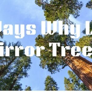 7 Ways Why Trees Mirror Life