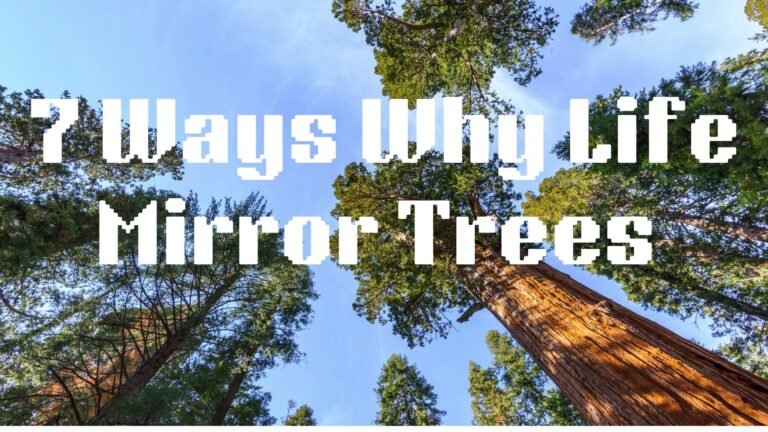 7 Ways Why Trees Mirror Life