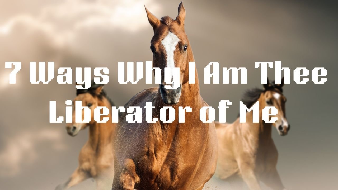 7 Ways Why I Am Thee Liberator of Me