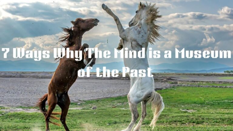 7 Ways Why the Mind is a Museum of the Past
