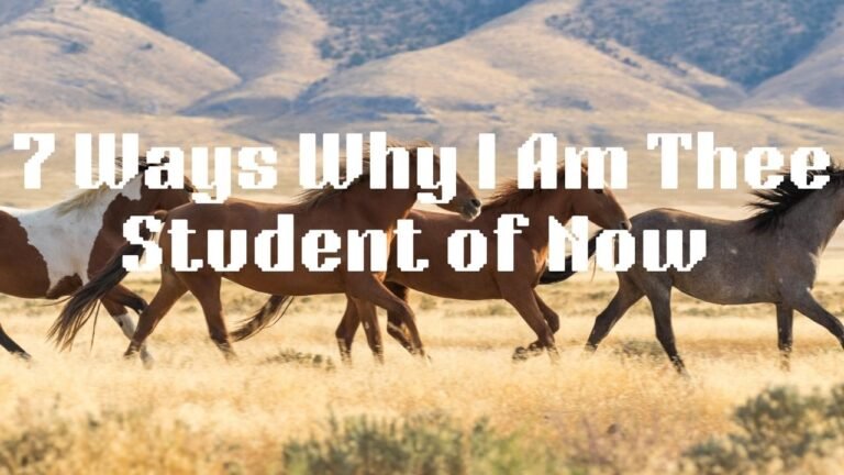 7 Ways Why I Am a Student of Now