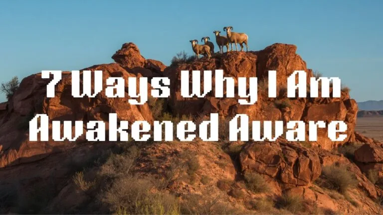 7 Ways Why I Am Awakened Aware